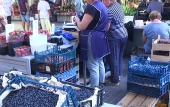 Почем ягоды на Брестском рынке