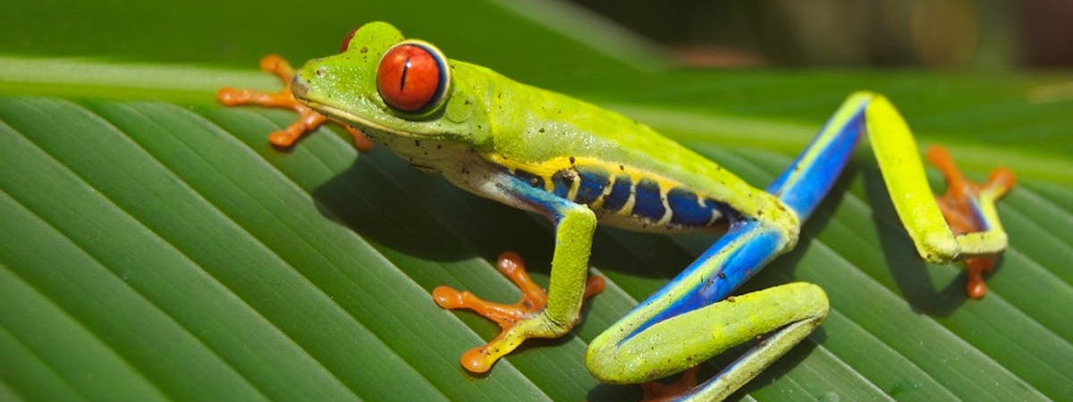 Панама обратилась в ООН из-за угроз Трампа отобрать канал