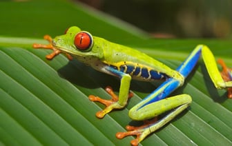 Панама обратилась в ООН из-за угроз Трампа отобрать канал