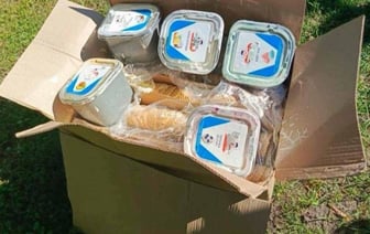 В Бресте два подростка пытались похитить пять контейнеров с мороженым