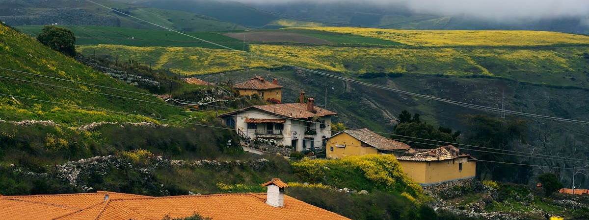 Власти Венесуэлы объявили Мадуро победителем на президентских выборах