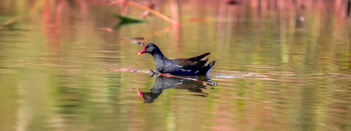 Израиль готовится к третьей атаке по Ирану