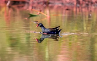 Израиль готовится к третьей атаке по Ирану
