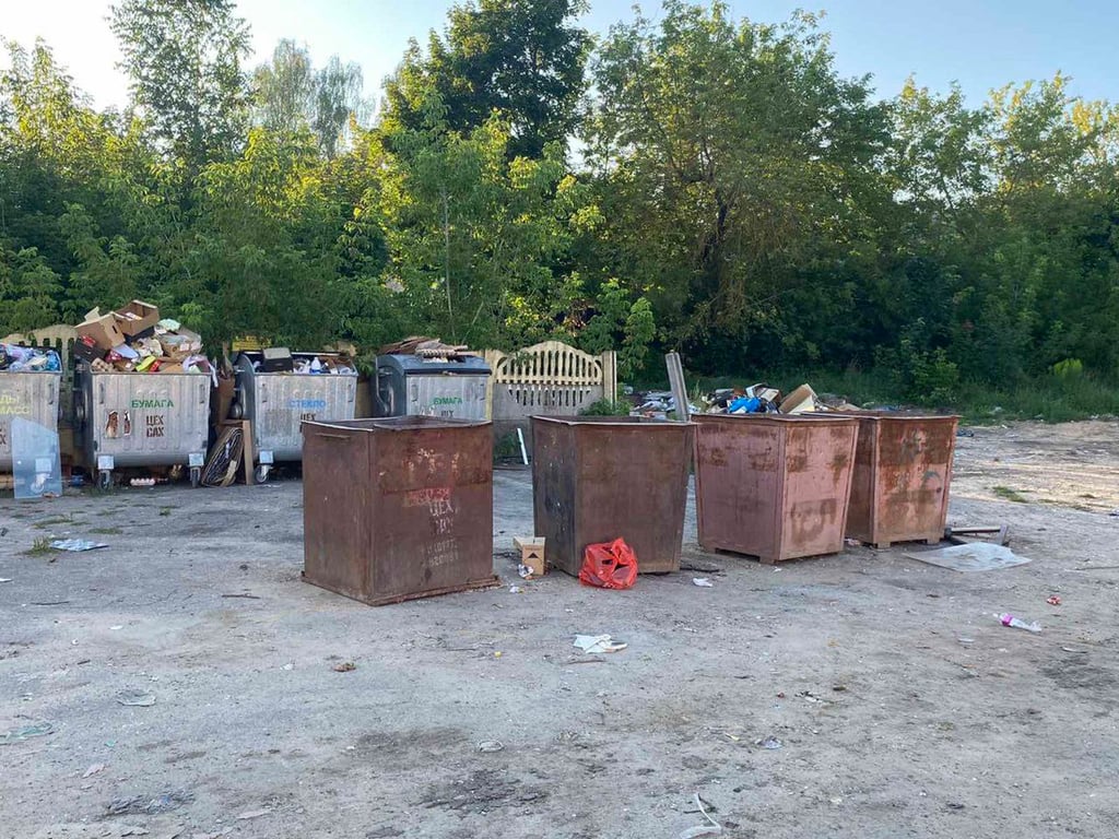 Район Борисова атакуют гадюки. Жильцы спасаются своими силами