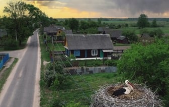 Какой штраф грозит за разрушение гнезд птиц?