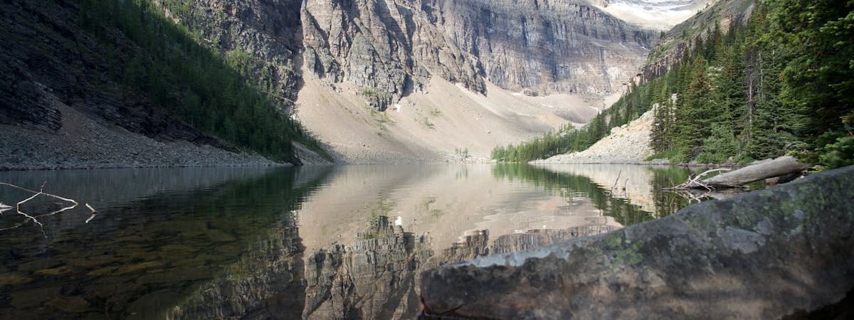 Агнешку Ромашевскую-Гузы уволили с должности руководительницы телеканала «Белсат»