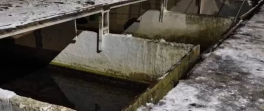 Трагедия в Берёзовском районе: ледяная вода унесла жизнь работника рыбхоза