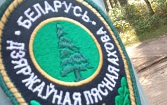 Лукашенко призвал лесников приумножать леса Беларуси