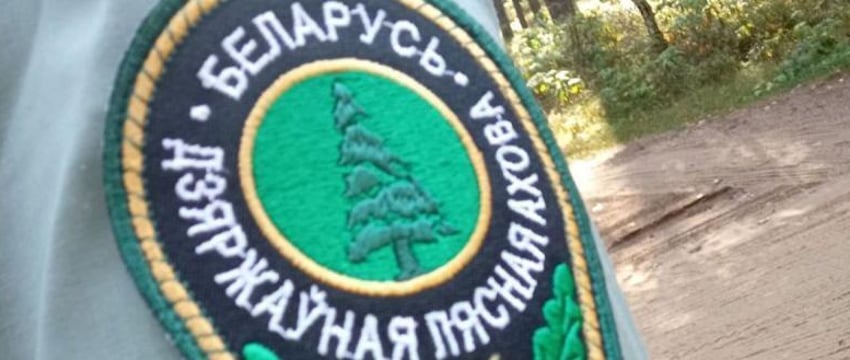 Лукашенко призвал лесников приумножать леса Беларуси