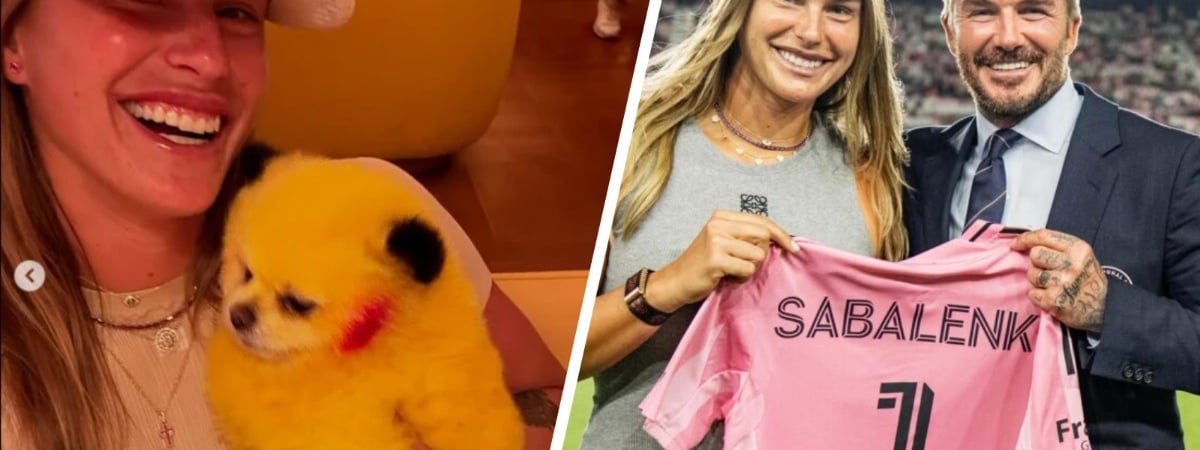 Подарок от Дэвида Бекхэма и шквал хейта. Почему Соболенко ругают за фото с собакой? — Видео