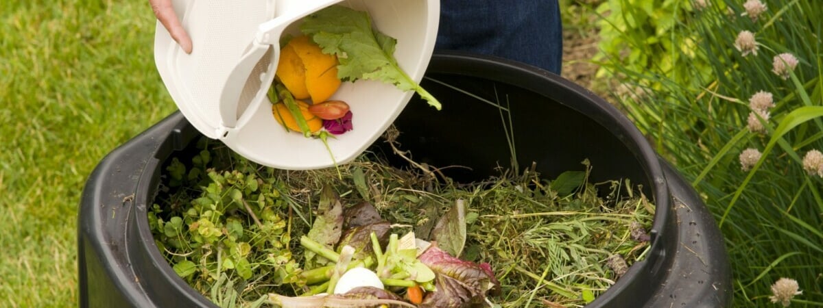 Что добавить в удобрение, чтобы урожай был всем на зависть? Про этот «секретный» ингредиент знают не все — Полезно
