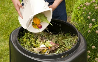 Что добавить в удобрение, чтобы урожай был всем на зависть? Про этот «секретный» ингредиент знают не все — Полезно