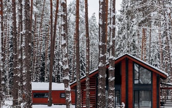 Правительство продлило запрет на ввоз отдельных товаров через белорусско-литовскую границу