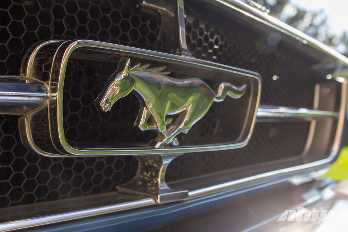 Mustang