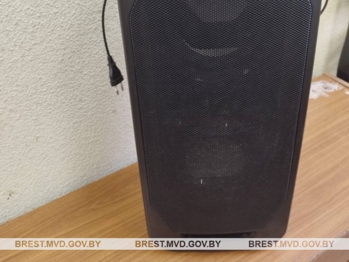 Музыкальную колонку украл знакомый у жителя Барановичей