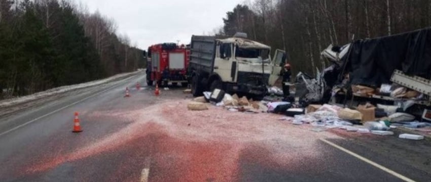 Страшное ДТП произошло в Брестской области. Погиб молодой водитель