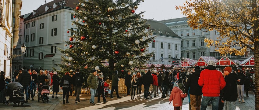 «В новогодний период Полоцк имеет особое очарование». Где советуют побывать туристам?