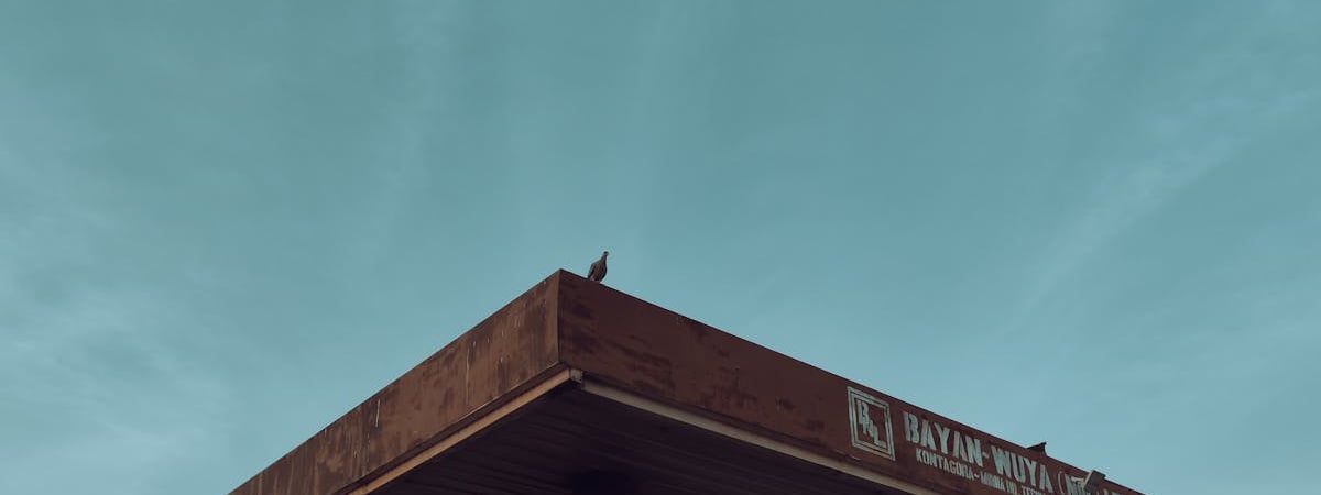 Розничный товарооборот в Беларуси за 2024 год увеличился на 11,8%