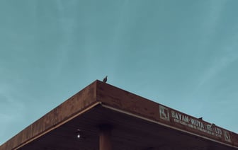 Розничный товарооборот в Беларуси за 2024 год увеличился на 11,8%