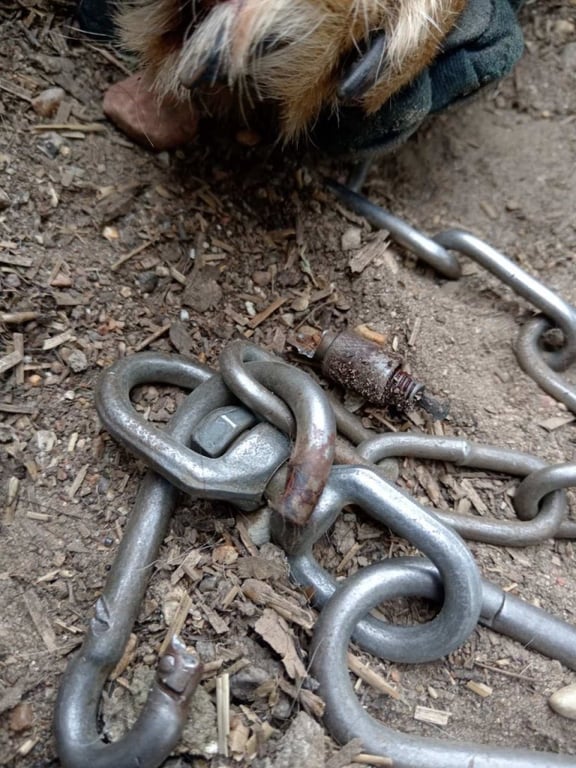 Еще одна добрая история: каменецкие спасатели помогли собаке, лапа которой застряла в карабине цепи