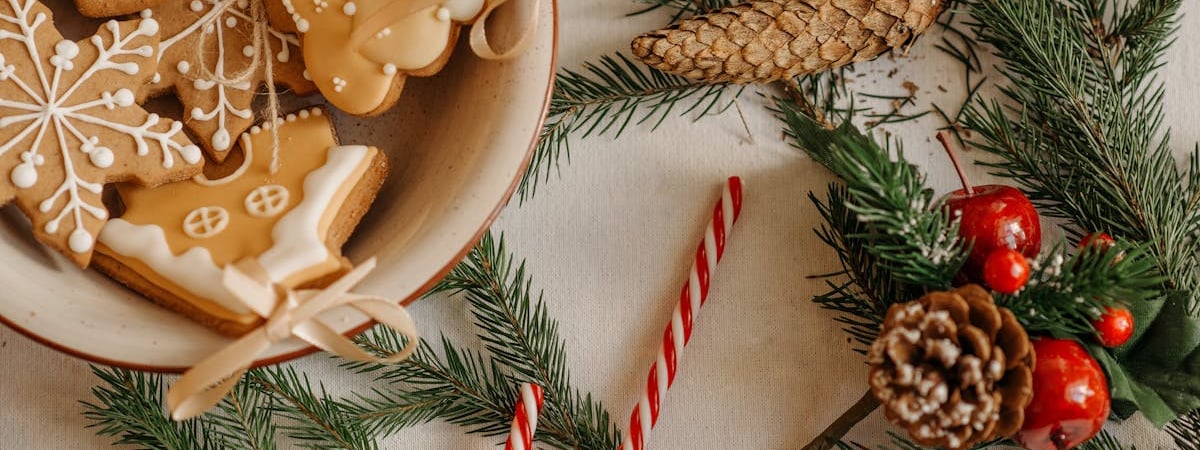 Правые популисты в Баварии приняли резолюцию о "реэмиграции"