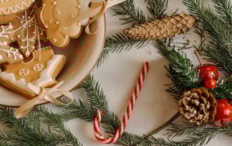 Правые популисты в Баварии приняли резолюцию о "реэмиграции"