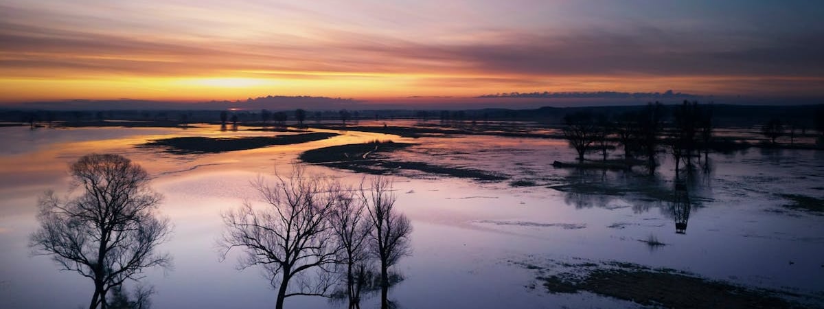 В Польше видят "окно возможностей" для привлечения инвестиций в чистые технологии после решений Трампа
