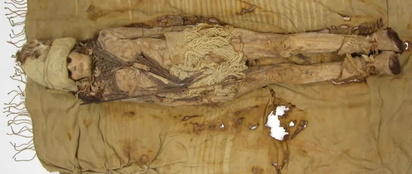 Самый старый сыр в мире, найденный на 3600-летних китайских мумиях