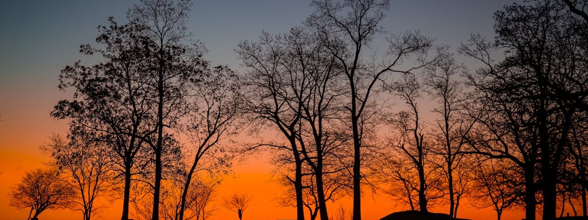 Налог с оборота для IT-компаний в Армении снижен до 1%