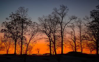 Налог с оборота для IT-компаний в Армении снижен до 1%