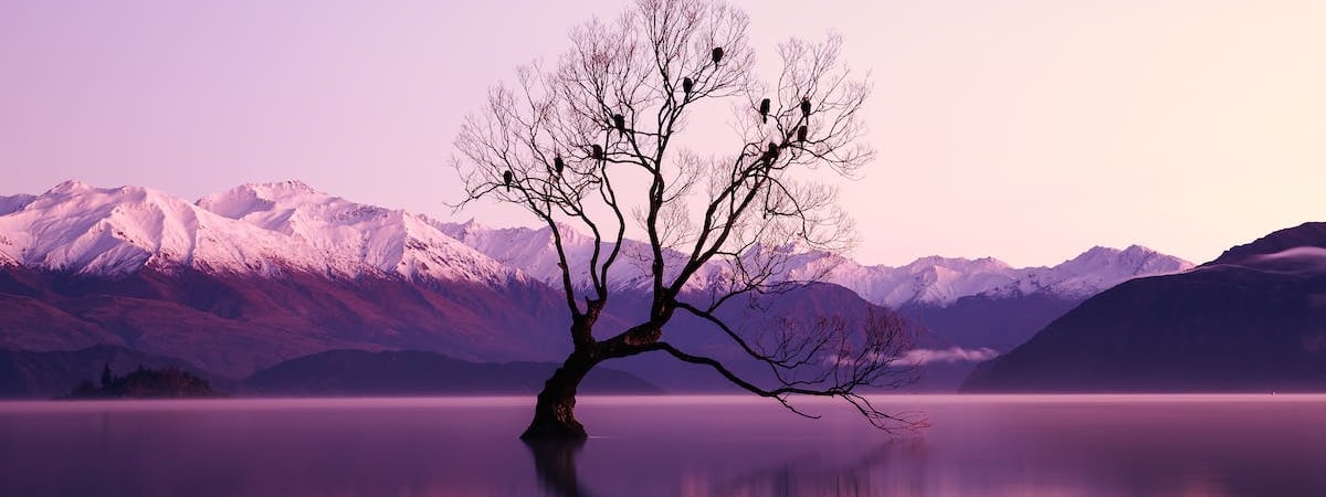 Российские войска обстреляли центр Харькова, ранены 11 человек