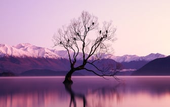 Российские войска обстреляли центр Харькова, ранены 11 человек