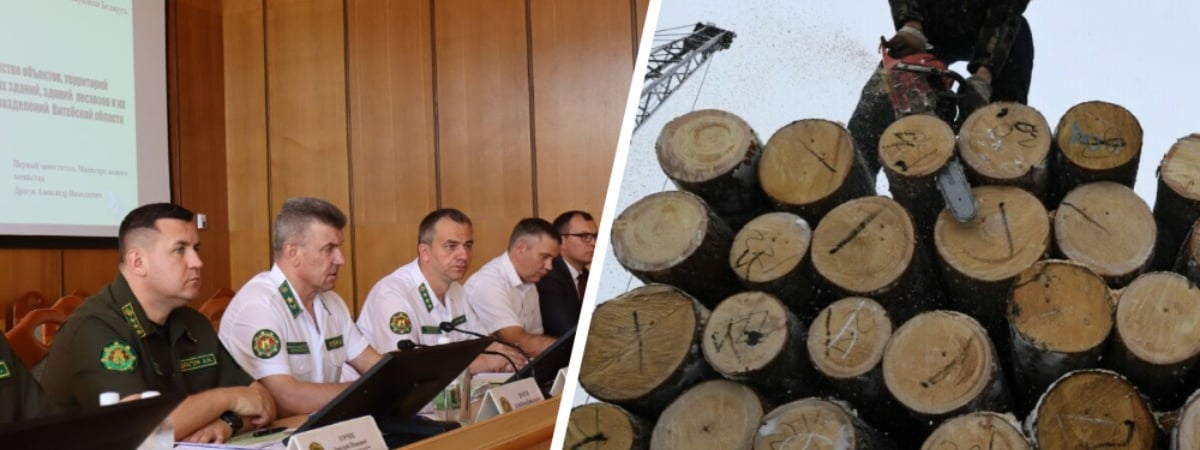 Глава Минлесхоза потребовал наказывать руководителей белорусских предприятий за «элементарные вещи»