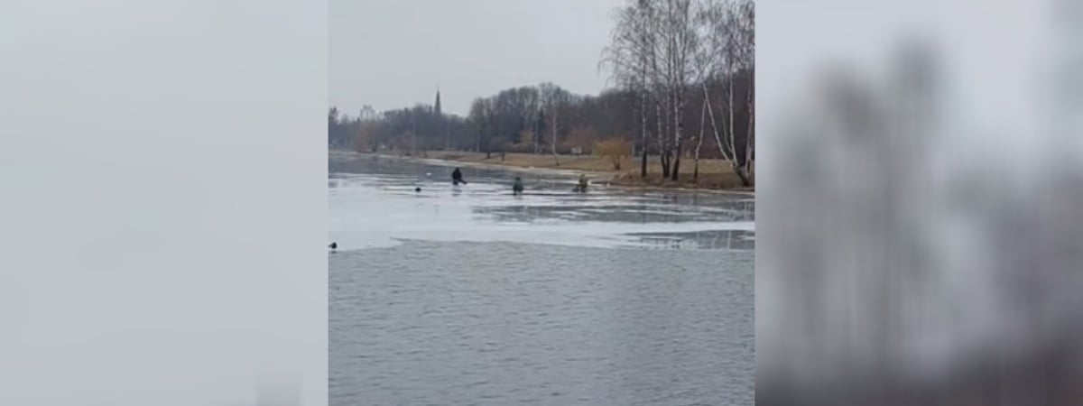 «Слабоумие и отвага» — В Минске шестеро мужчин удивили прохожих — Видео