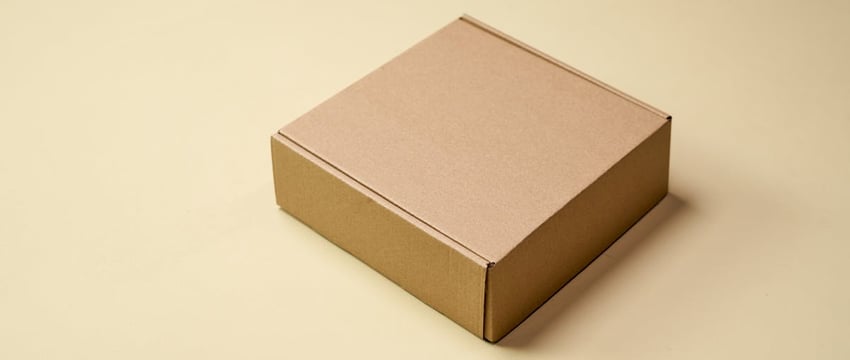 Ёлочка горит. В Полоцке зажгли иллюминацию и дали старт новогодним мероприятиям