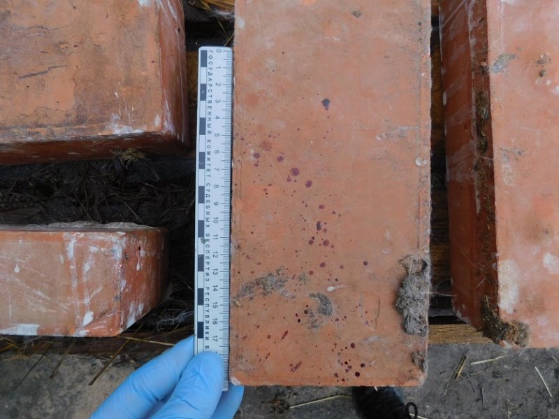 В Молодечно пожилые супруги убили своего зятя