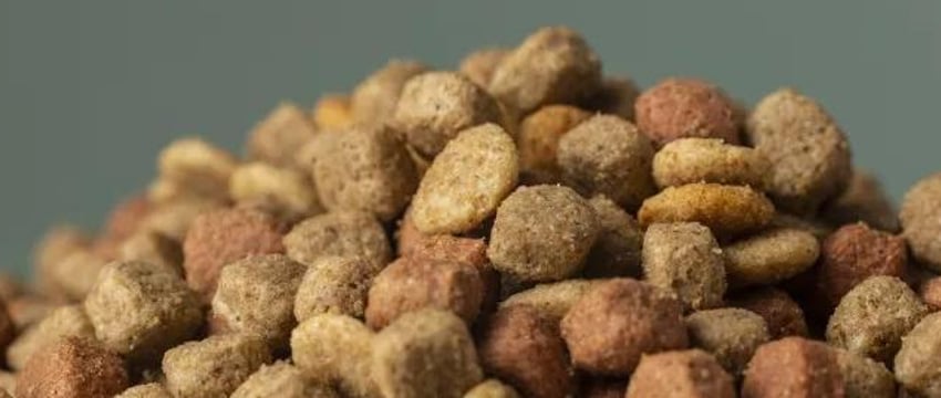 Великобритания первой в Европе разрешила продажу искусственного мяса