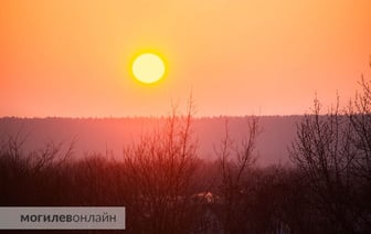 Немного красоты: полюбуйтесь, какой сегодня в Могилеве был рассвет