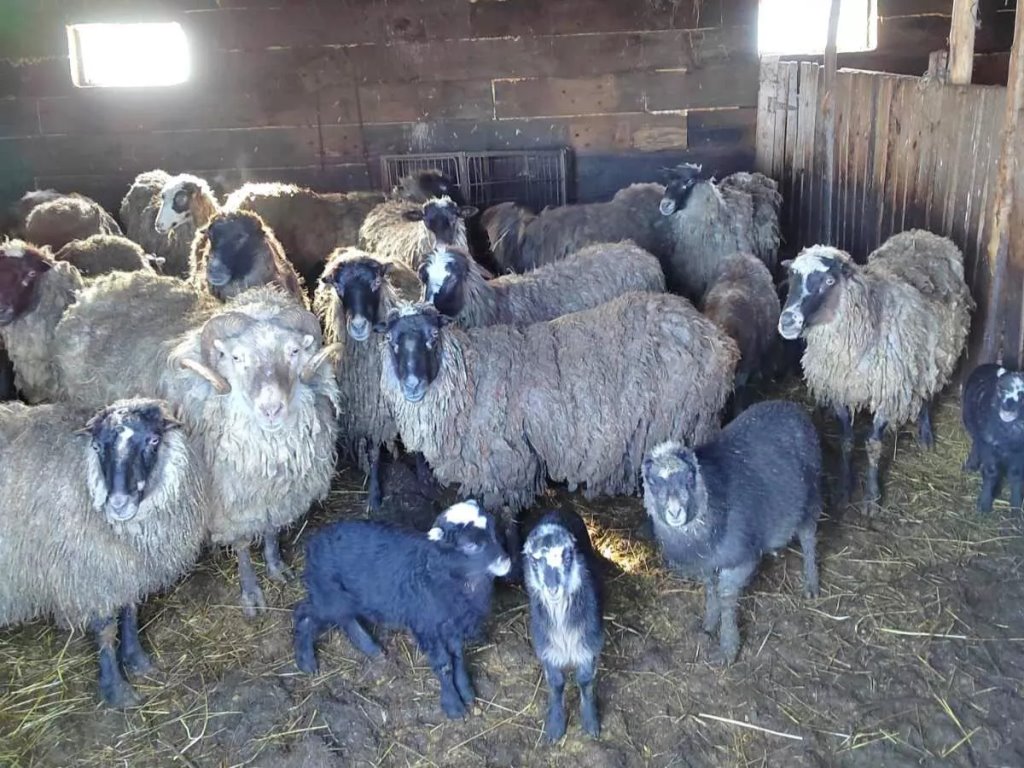 Sputnik / Татьяна Федоренко