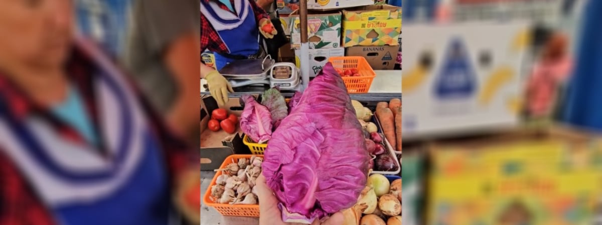 В Минске на рынке начали продавать коническую капусту по 2,5 рубля. Чем удивит кроме формы и цвета? — Видео