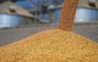 Отмена переговоров по экспорту зерна между Польшей и Украиной