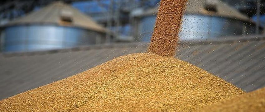 Отмена переговоров по экспорту зерна между Польшей и Украиной
