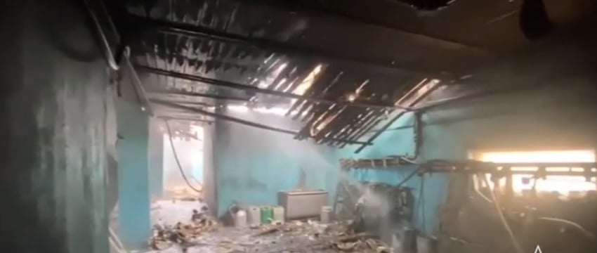 Сотрудники МЧС спасли 100 коров с горящей фермы в Горках