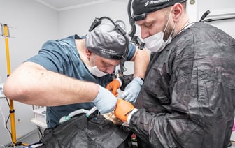 Более 300 литров дизтоплива похитили работники госпредприятия Полоцкого региона