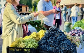 В Бресте стартовали осенние ярмарки — фоторепортаж