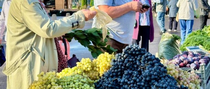 В Бресте стартовали осенние ярмарки — фоторепортаж