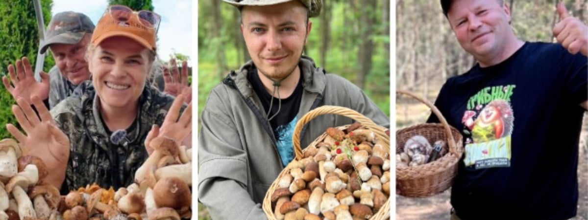 Будет ли «грибной бум» в Беларуси в 2025 году? Опытные грибники ответили, когда ждут первые боровики, лисички и сморчки — Мнение