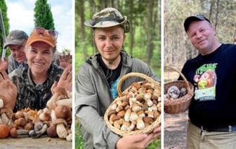 Будет ли «грибной бум» в Беларуси в 2025 году? Опытные грибники ответили, когда ждут первые боровики, лисички и сморчки — Мнение