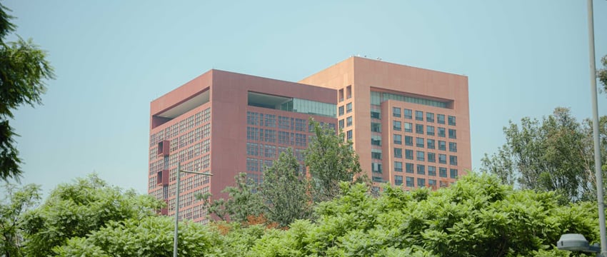 “Двери прикрыты” — министр иностранных дел Литвы о ситуации на границе с РБ