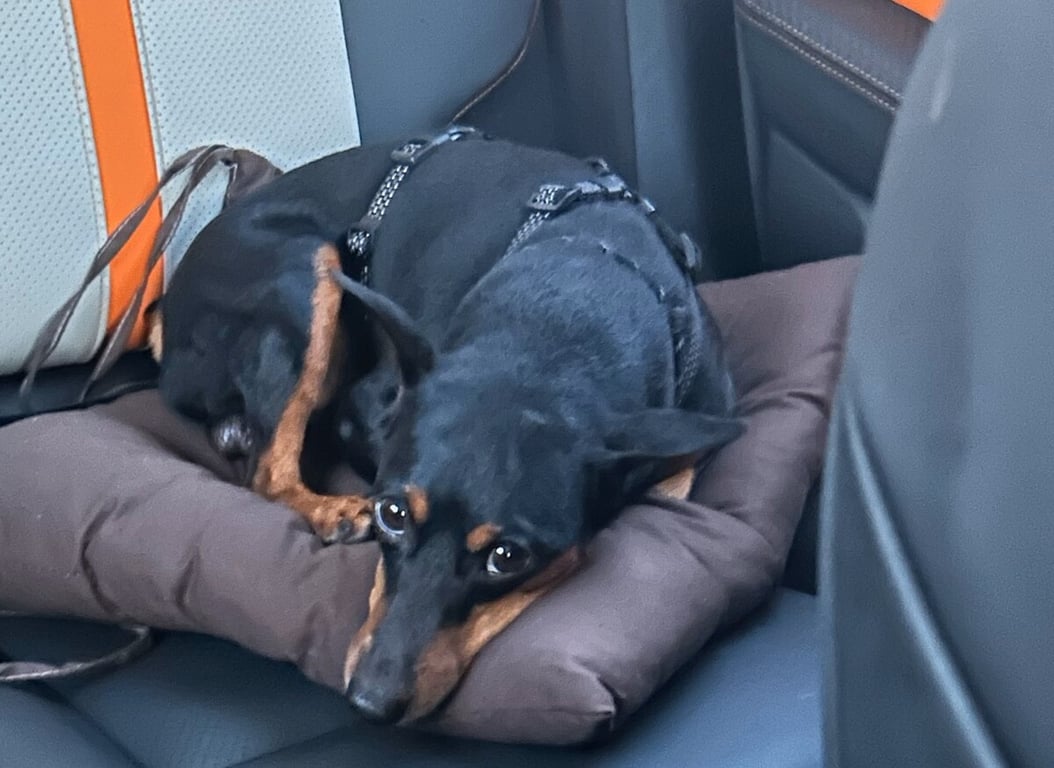 Белорусы рассказали, как дёшево съездили на море на китайском кроссовере